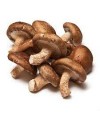 Funghi shiitake BIO 1 kg