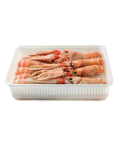 Scampo pescato Sicilia 1 kg - pezzatura 20/25 - Gelo