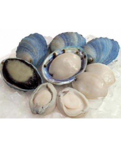 Abalone blu fresco o Orecchia di mare 1 kg