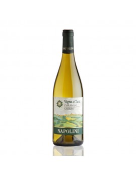 Vigna di Clara Grechetto Colli Martani - Napolini 2023