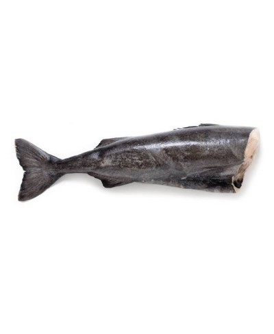 Carbonaro d'Alaska kg 2 black cod intero eviscerato
