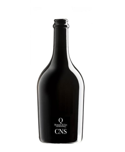 CNS Memorie di Vite - Quartomoro 2021