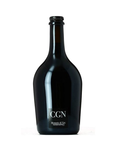 CGN Memorie di Vite - Quartomoro