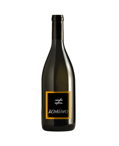 Bombino bianco 2024 Olivella