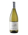 Pinot nero vinificato in bianco frizzante - Calatroni