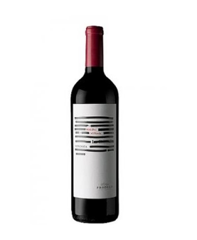 Malbec y Bonarda Seleccion - Prodigo 2021