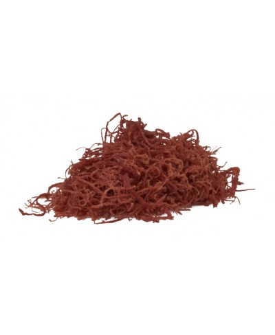 Sfilacci di Cavallo affumicati 450 gr