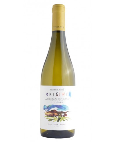 Origini Verdicchio di Jesi - Fattoria Nanni