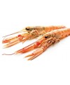 Scampi 4-6 pezzi pescato DK kg 0.800