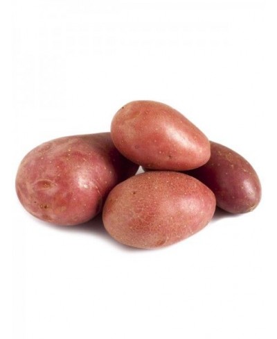 Patate Cherie 5 kg