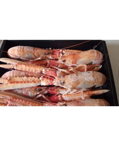Scampi 3-7 pezzi per Kg pescato Islanda kg 1.35