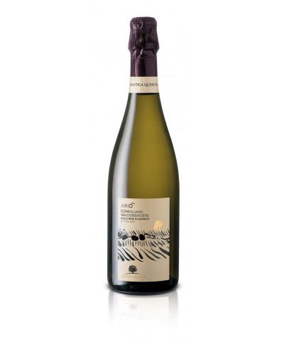 Ariò Prosecco Superiore Extra dry - Antica Quercia 2022