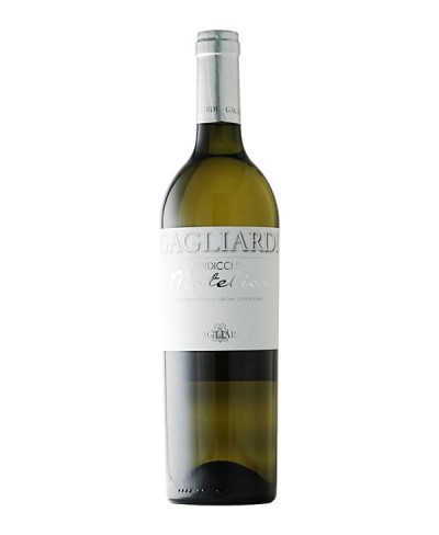 Selezione Verdicchio di Matelica - Gagliardi