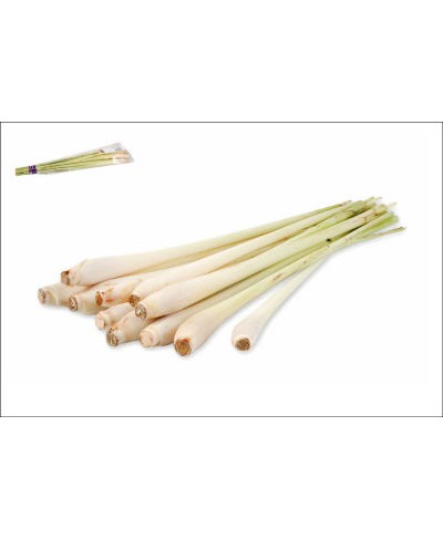 Lemon grass radice fresca 200 gr