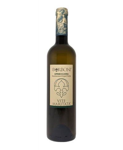 Vite Maritata Asprinio d'Aversa - I Borboni