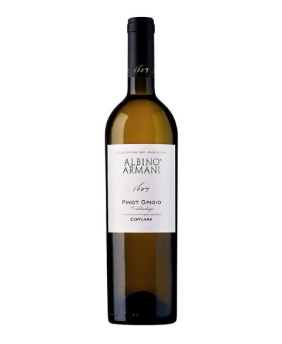 Pinot grigio Corvara - Albino Armani 2021