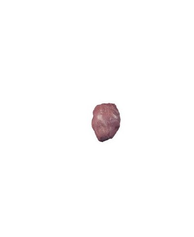 Spalla polpa di capriolo fresca 1,4 kg disossata