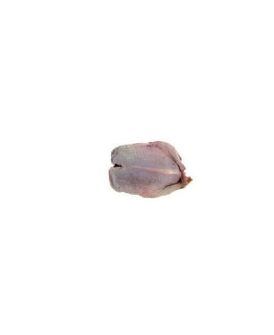 Colombaccio di cacciato GELO circa 200 gr