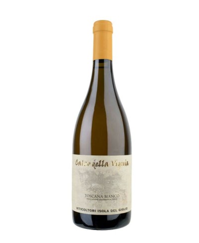 Ansonica Calzo della Vignia - Castellari