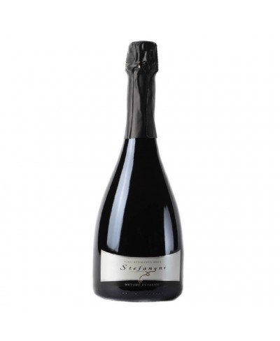 Brut metodo classico - Stefanoni 2020