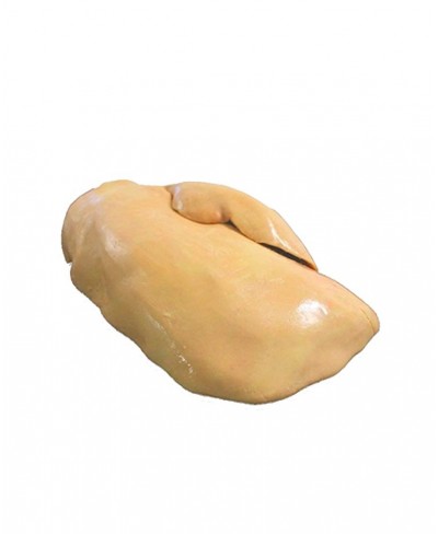 Oca prezzo hotsell