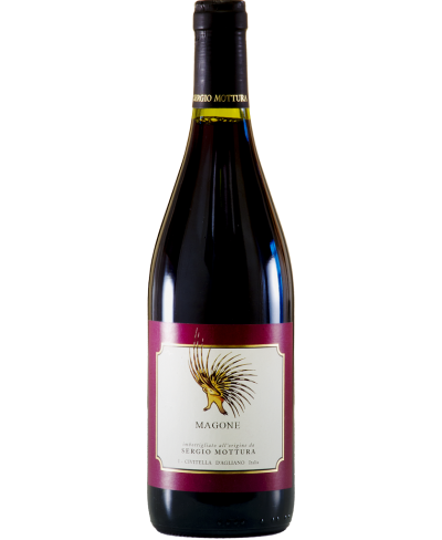 Pinot nero Magone - Mottura 2019