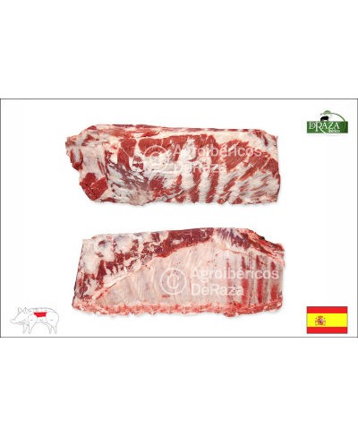 Costine spare ribs di maiale iberico fresco kg 1.6