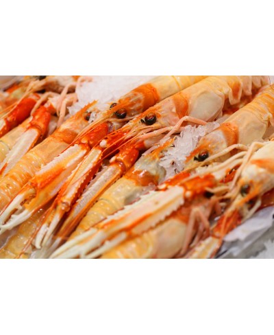 Scampi grandi 10/15 pescato Mediterraneo 1 kg - Gelo