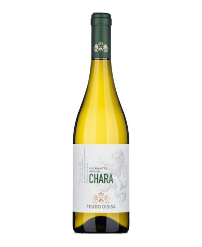 Chara - Feudo Disisa 2023