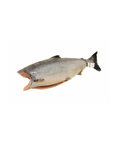 Salmone Red King selvaggio kg 4 - Intero gelo