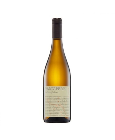 Falanghina - Vadiaperti 2022