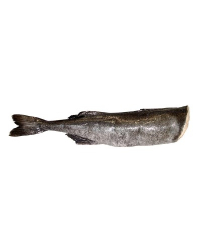 Carbonaro d'Alaska Black code 2 kg - gelo