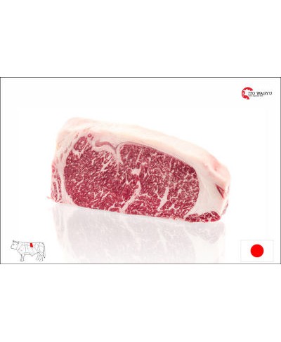 Costata di Wagyu giapponese kg 1,5 - A5 Bms 8-9