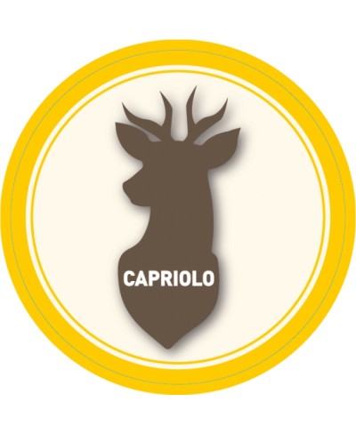 Coscia di capriolo in 4 tagli senza osso kg 1.6