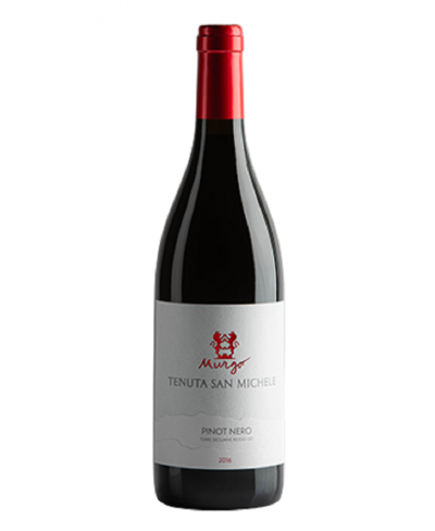 Pinot nero Tenuta San Michele - Murgo 2019