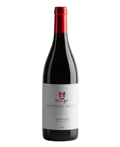 Pinot nero Tenuta San Michele - Murgo