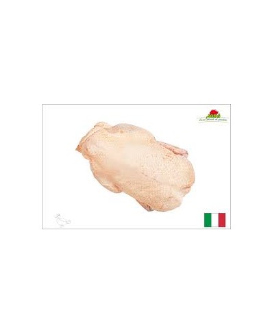 Anatra canette de Barberie busto kg 1.7