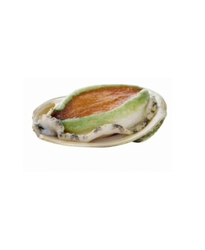 Abalone o Greenlip Australiano 1 kg - gelo