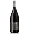 Malvasia frizzante Castelnuovo Don Bosco - Cascina Gilli