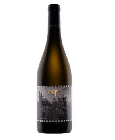 Selezione Poc ma Bon Pinot bianco - Tarlao 2023