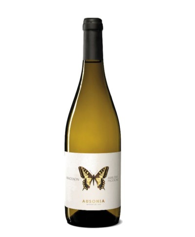 Machaon Pecorino 2023 Ausonia