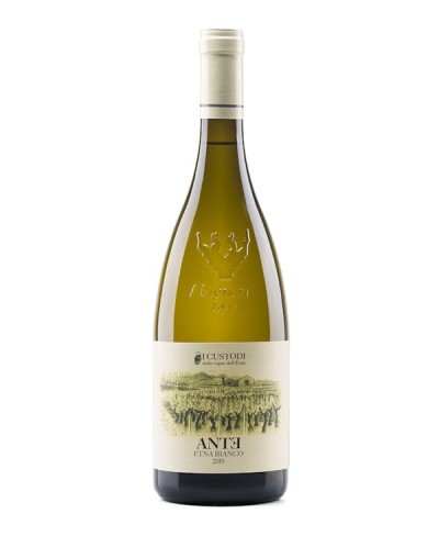 Etna Bianco Ante 2021 Custodi delle Vigne