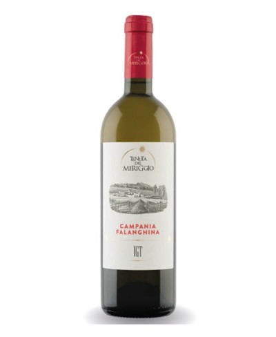Falanghina Irpinia 2024 Tenuta del Meriggio