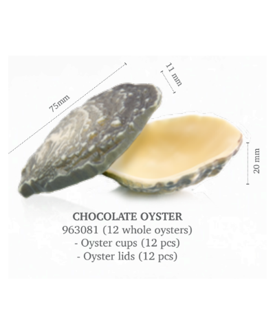 Ostrica di cioccolato 12 pezzi