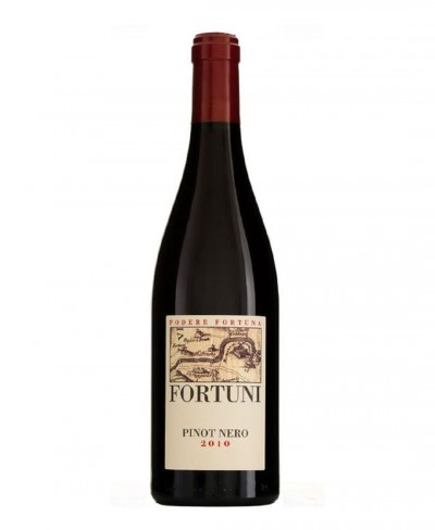 Vigneto di Fortuni Pinot Nero - Podere Fortuna 2016