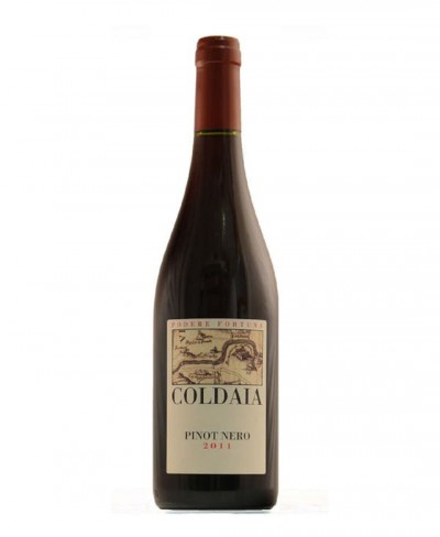 Vigneto di Coldaia Pinot nero - Podere Fortuna 2018