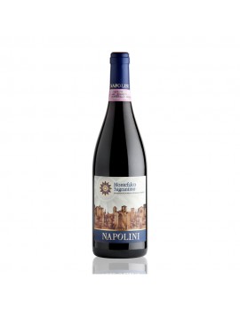 Sagrantino di Montefalco - Napolini 2016