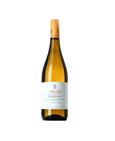 Grillo - Baroni di Pianogrillo 2023