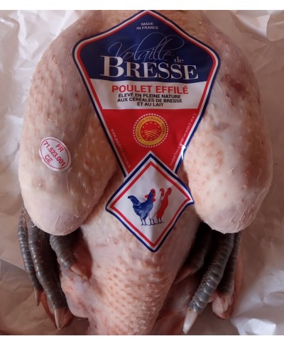 Pollo di Bresse fresco 2 kg testa e zampe