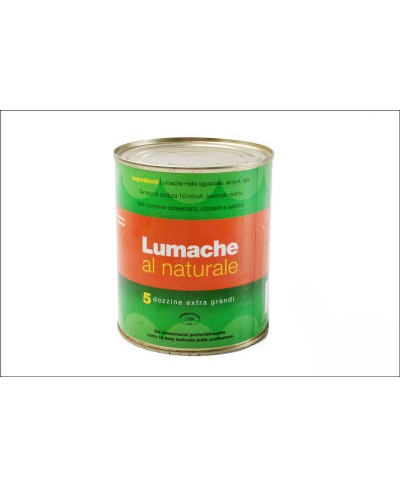 Lumache polpa al naturale 450 gr. netti - taglia grande